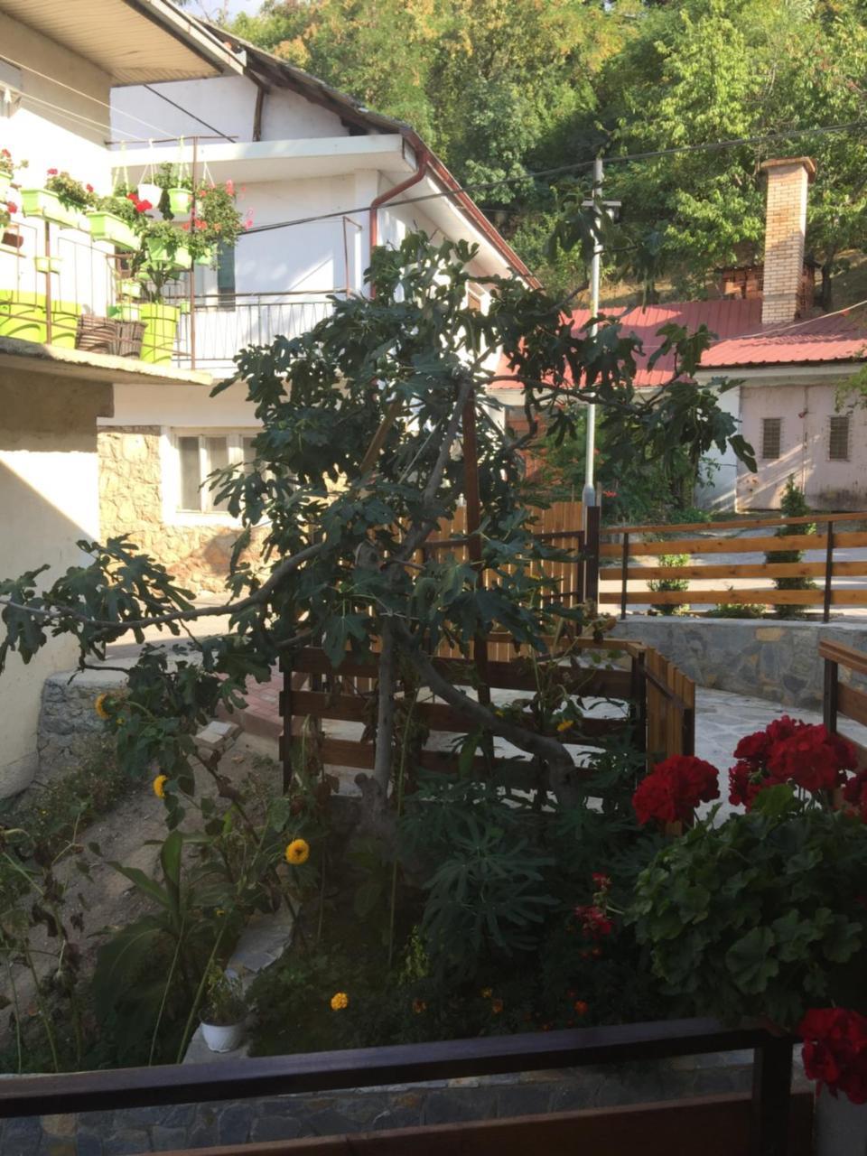 Ferienwohnung Madox Ohrid Exterior foto